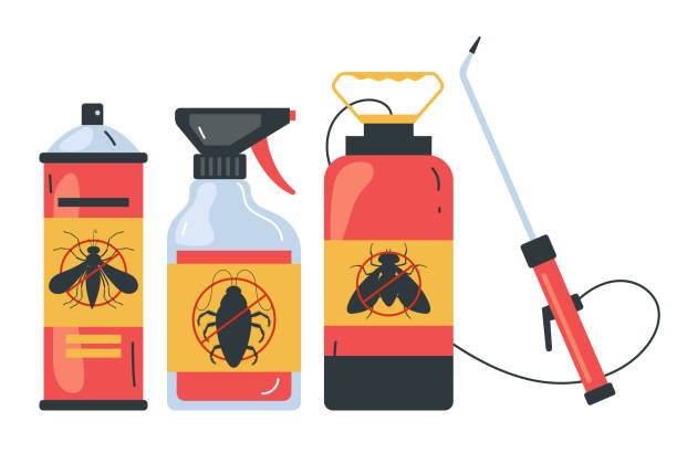 Wasp Removal Services in Castle Rock, CO